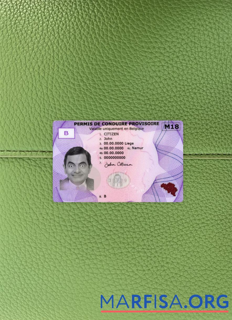 Printable Belgium provisional driving license photolook real example